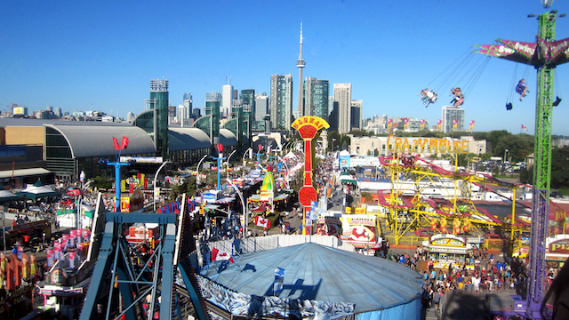 CNE