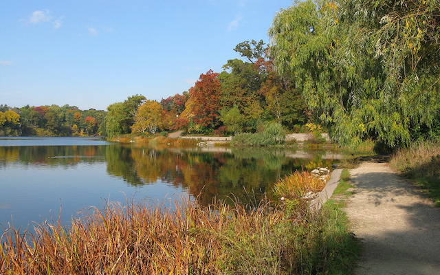 High Park in the fall