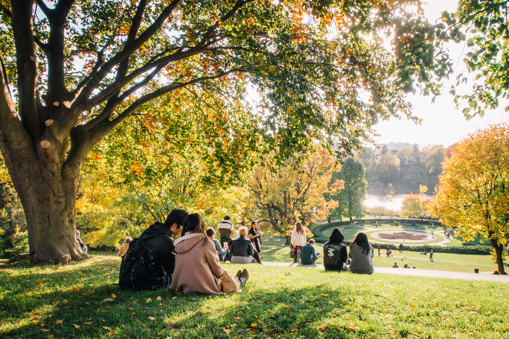 Fall in Toronto